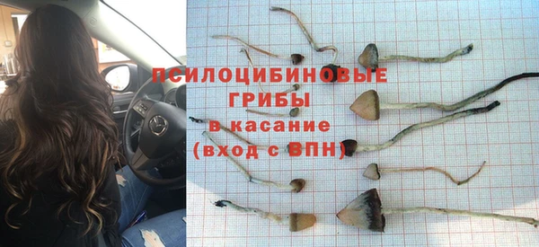 синтетический гашиш Алексеевка