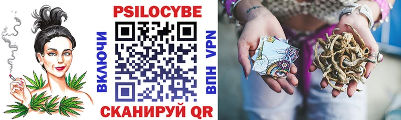 Псилоцибиновые грибы мицелий  Томмот 